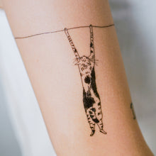 Load image into Gallery viewer, Black & White Cat Combo Tattoo ManE Ink HK Tattooist LAZY DUO Comic Style Playful Black Cat White Cat Tattoo Stickers 美漫風格黑貓紋身白貓玩耍合體技浪浪不哭喵咪寵物刺青香港紋身貼紙Kitten Tattoo Ideas Neko Tattoo Meow Animal Pet Tattoos HK Temporary Tattoo Sticker Water Color Tattoo LAZY DUO Tattoo Shop Hong Kong HK 紋身師設計印刷訂做客製 Custom Temporary Tattoo Event Printing Tattooist artist HK tattoo shop MANE INK Tattooer Tattoo Artist Taiwan fine line ornament tattoo 台灣製 刺青師紋身師