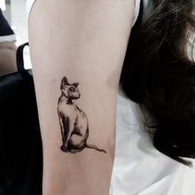 Load image into Gallery viewer, Sphynx Cat II Tattoo - LAZY DUO TATTOO