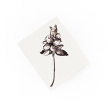 Load image into Gallery viewer, Silly Cat with Flower Tattoo - LAZY DUO TATTOO