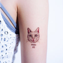 Load image into Gallery viewer, White Cat FEED ME + Pit Bull Tattoos - LAZY DUO TATTOO