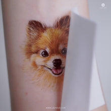 Load and play video in Gallery viewer,  waterproof, and fashionable. Pom Dog Temporary Tattoo Sticker, Wiener-Dog family, Dachshund Dog Lover, Fun Pet Toy Puppy Fashion Accessories, Dog Beauty Pet Fashion, Realistic Micro Dog Tattoo, Dog Accessories Dog Puppy 
