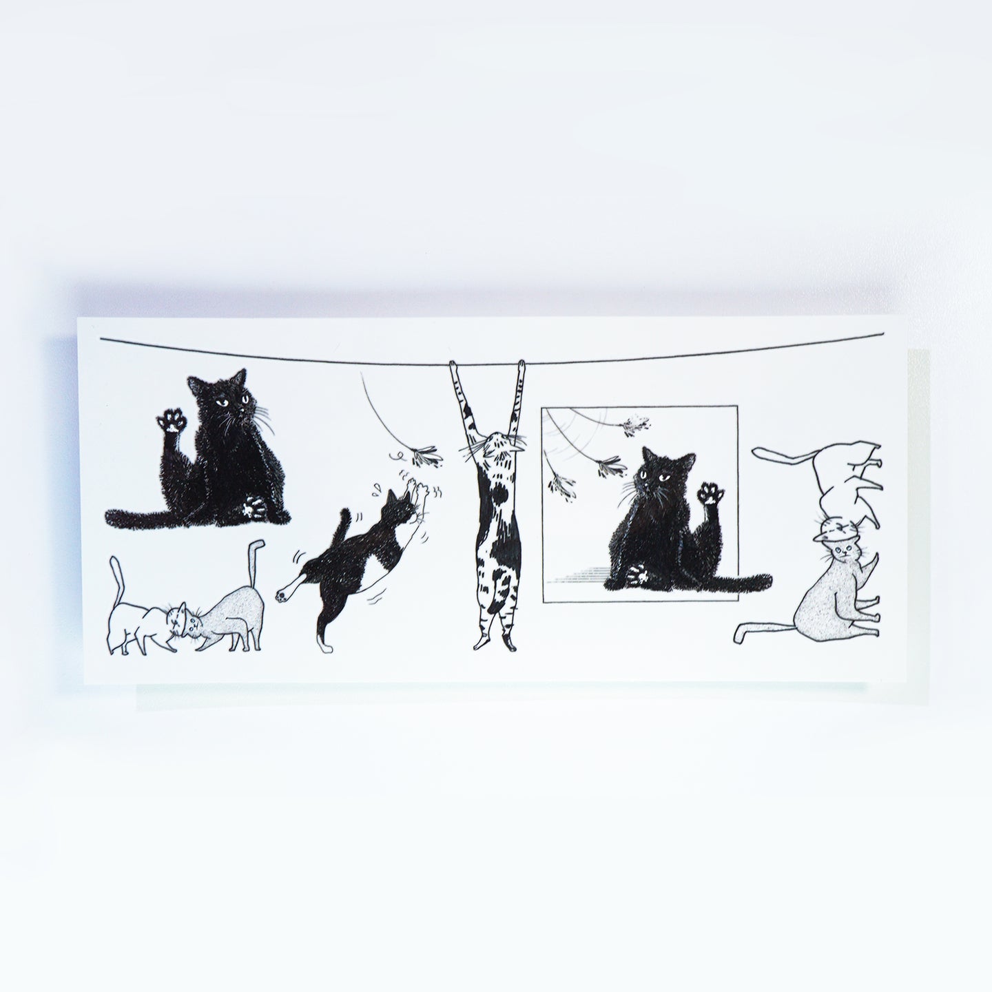 Black & White Cat Combo Tattoo ManE Ink HK Tattooist LAZY DUO Comic Style Playful Black Cat White Cat Tattoo Stickers 美漫風格黑貓紋身白貓玩耍合體技浪浪不哭喵咪寵物刺青香港紋身貼紙Kitten Tattoo Ideas Neko Tattoo Meow Animal Pet Tattoos HK Temporary Tattoo Sticker Water Color Tattoo LAZY DUO Tattoo Shop Hong Kong HK 紋身師設計印刷訂做客製 Custom Temporary Tattoo Event Printing Tattooist artist HK tattoo shop MANE INK Tattooer Tattoo Artist Taiwan fine line ornament tattoo 台灣製 刺青師紋身師
