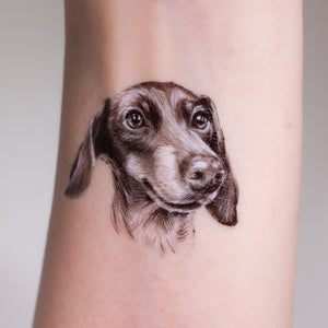 LAZY DUO Temporary Tattoo Sticker since 2015. Hong Kong Tattoo Shop, Dachshund silhouette tattoo, Pet lover sticker, Temporary pet tattoos, Dachshund paw print tattoo, Dog-themed sticker set, Temporary dog paw print tattoos, Dachshund breed tattoo, Cute pet stickers, Dog-themed party favors. Trendy dog tattoos, Pet-themed gift ideas