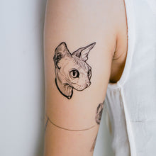 Load image into Gallery viewer, Watercolor Sphynx Cat Tattoos - LAZY DUO TATTOO
