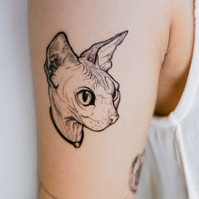 Load image into Gallery viewer, Watercolor Sphynx Cat Tattoos - LAZY DUO TATTOO
