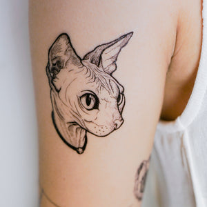 Watercolor Sphynx Cat Tattoos - LAZY DUO TATTOO