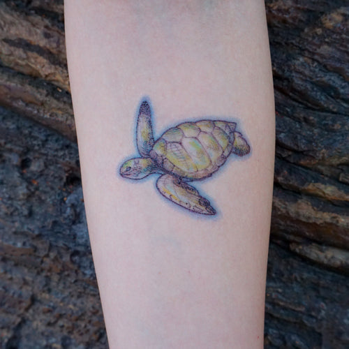 Sea Turtle Tattoos - LAZY DUO TATTOO