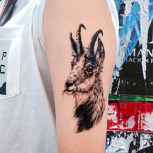 Load image into Gallery viewer, Ram・Goat Tattoo - LAZY DUO TATTOO

