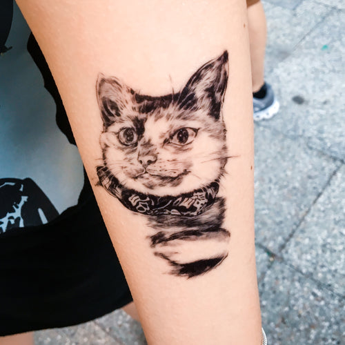 Little Bean Ding Cat Rescue Mascots・Kit & Monroe - LAZY DUO TATTOO