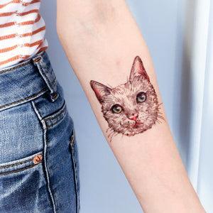 White Cat FEED ME + Pit Bull Tattoos - LAZY DUO TATTOO