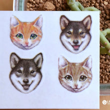 Load image into Gallery viewer, Tiny Cat and Shibu Tattoo - LAZY DUO TATTOO
