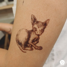 Load image into Gallery viewer, Sphynx Cat &amp; Donut Pug Tattoos - LAZY DUO TATTOO
