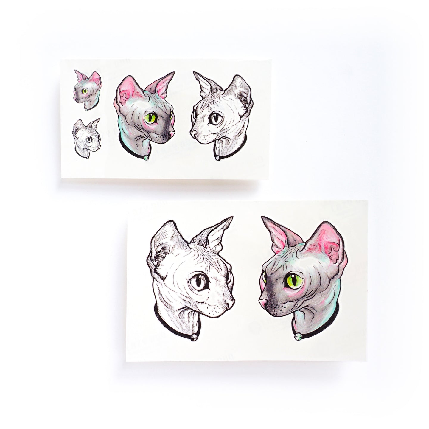 Watercolor Sphynx Cat Tattoos - LAZY DUO TATTOO