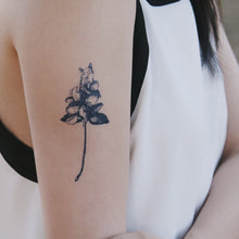 Load image into Gallery viewer, Silly Cat with Flower Tattoo - LAZY DUO TATTOO
