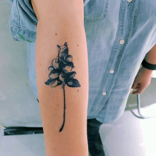 Silly Cat with Flower Tattoo - LAZY DUO TATTOO