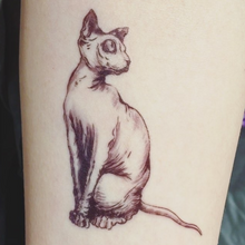 Load image into Gallery viewer, Sphynx Cat II Tattoo - LAZY DUO TATTOO
