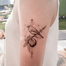 Load image into Gallery viewer, Black Moon &amp; Bird Tattoo - LAZY DUO TATTOO
