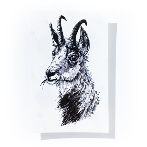 Ram・Goat Tattoo - LAZY DUO TATTOO