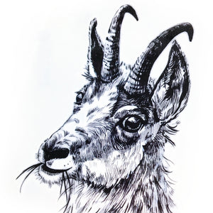 Ram・Goat Tattoo - LAZY DUO TATTOO