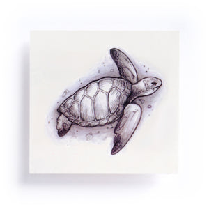 Sea Turtle Tattoos - LAZY DUO TATTOO