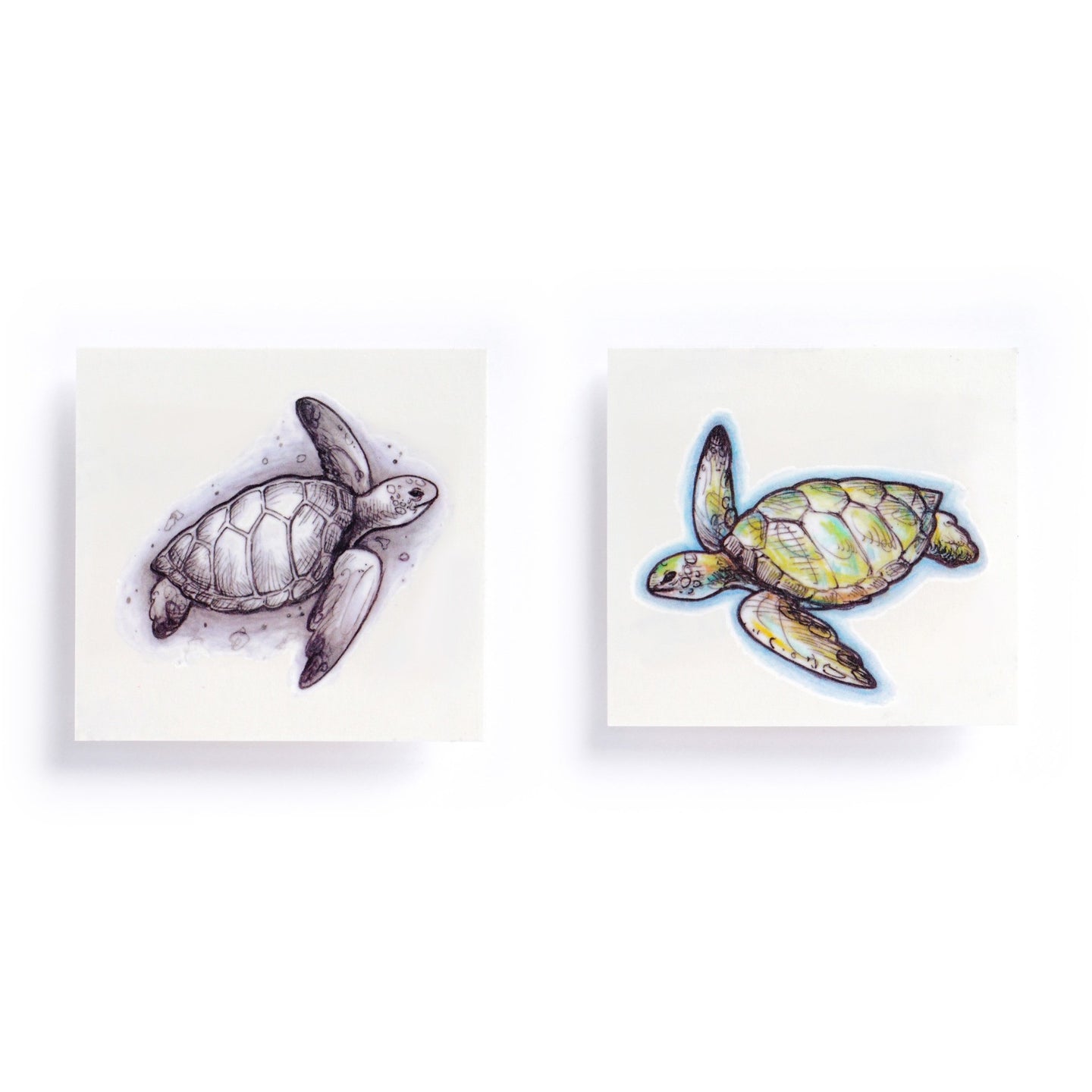 Sea Turtle Tattoos - LAZY DUO TATTOO