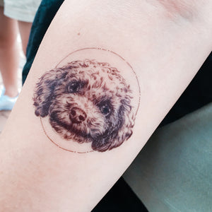 Poodle Doggie Tattoos - LAZY DUO TATTOO